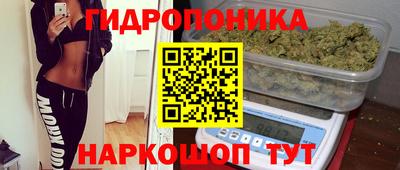 apvp Камышлов