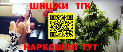 apvp Камышлов