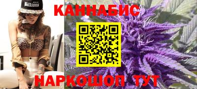 apvp Камышлов