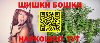 apvp Камышлов