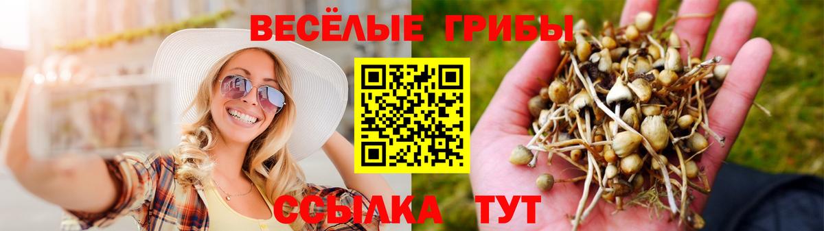 Галлюциногенные грибы мицелий  купить наркоту  Майский  Вход с VPN 